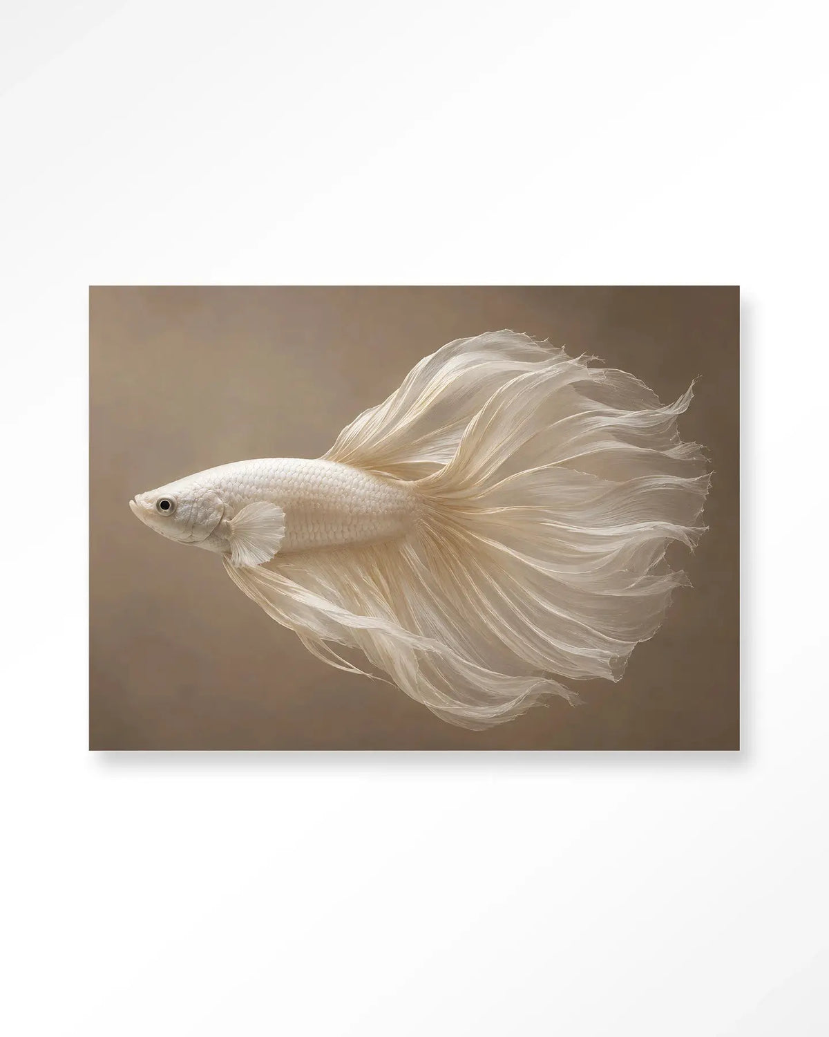 Pearl Fish - Moderne Wanddecoratie | Artprint, Glass Art & Wandkleed by Urban Cotton