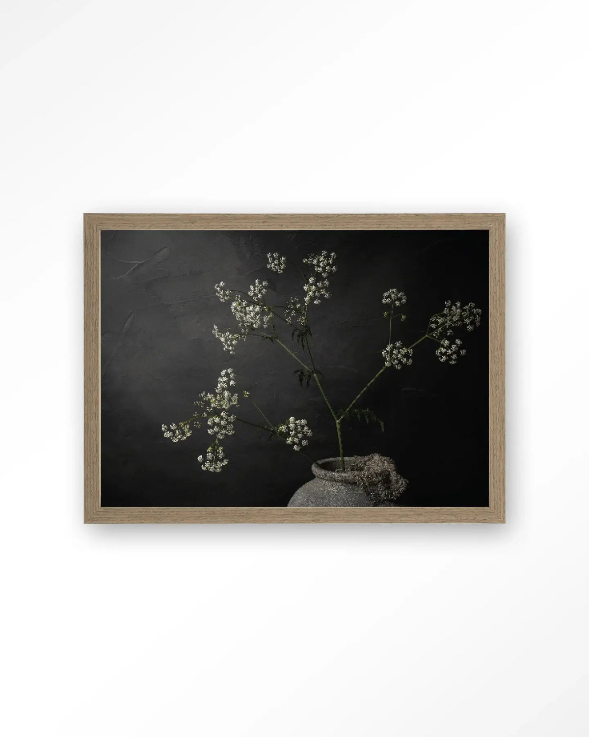 The Light Of Cow Parsley - Moderne Wanddecoratie | Artprint, Glass Art & Wandkleed by Urban Cotton