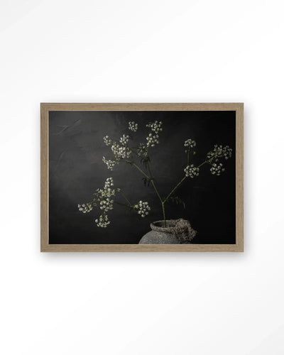 The Light Of Cow Parsley - Moderne Wanddecoratie | Artprint, Glass Art & Wandkleed by Urban Cotton