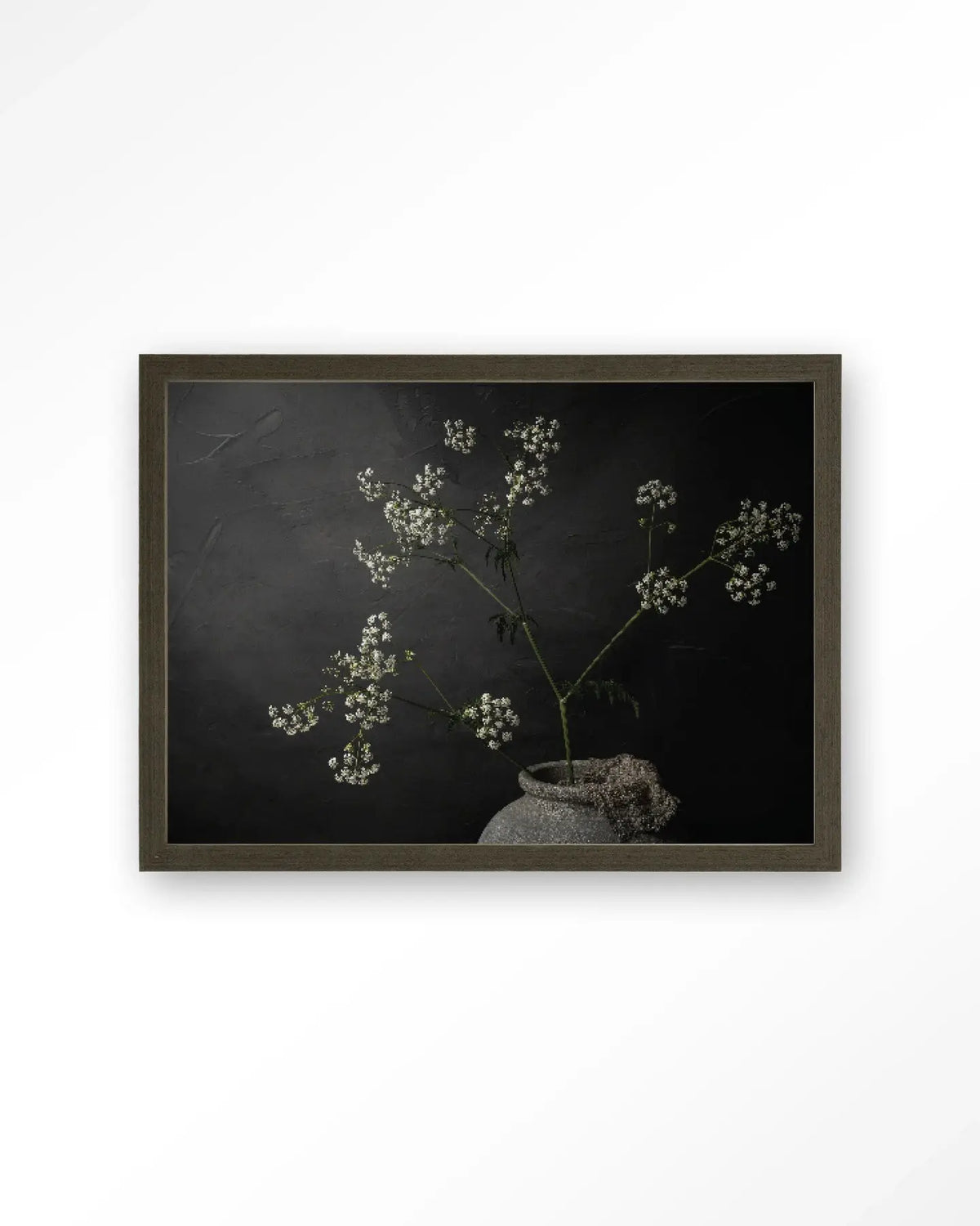The Light Of Cow Parsley - Moderne Wanddecoratie | Artprint, Glass Art & Wandkleed by Urban Cotton