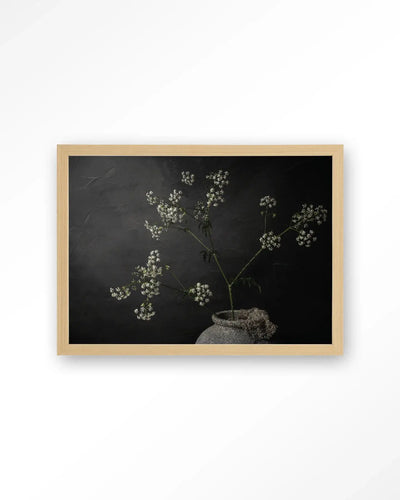 The Light Of Cow Parsley - Moderne Wanddecoratie | Artprint, Glass Art & Wandkleed by Urban Cotton