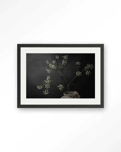The Light Of Cow Parsley - Moderne Wanddecoratie | Artprint, Glass Art & Wandkleed by Urban Cotton