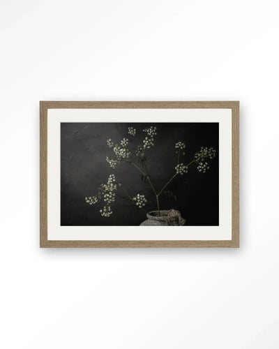 The Light Of Cow Parsley - Moderne Wanddecoratie | Artprint, Glass Art & Wandkleed by Urban Cotton