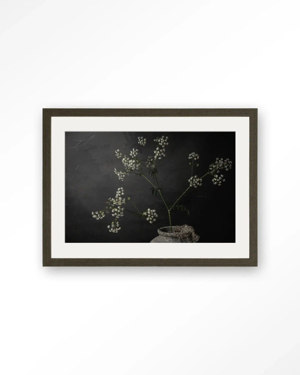 The Light Of Cow Parsley - Moderne Wanddecoratie | Artprint, Glass Art & Wandkleed by Urban Cotton