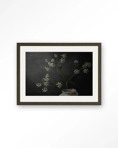 The Light Of Cow Parsley - Moderne Wanddecoratie | Artprint, Glass Art & Wandkleed by Urban Cotton