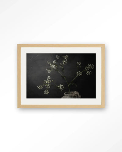 The Light Of Cow Parsley - Moderne Wanddecoratie | Artprint, Glass Art & Wandkleed by Urban Cotton