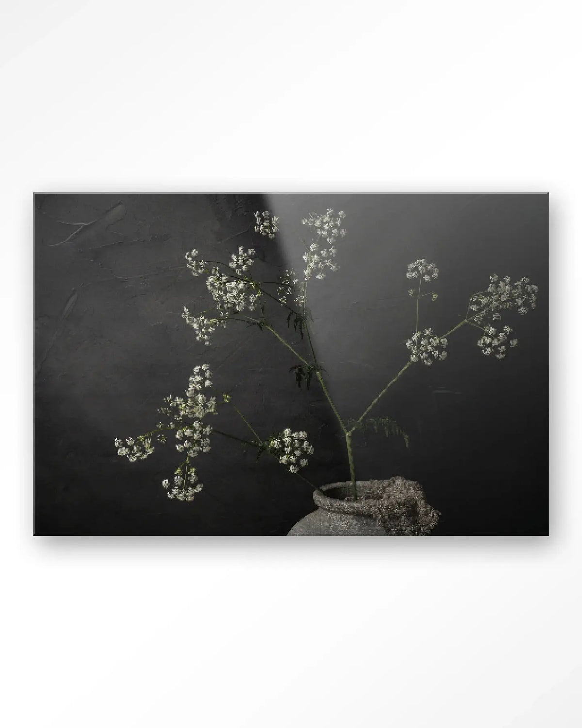The Light Of Cow Parsley - Moderne Wanddecoratie | Artprint, Glass Art & Wandkleed by Urban Cotton