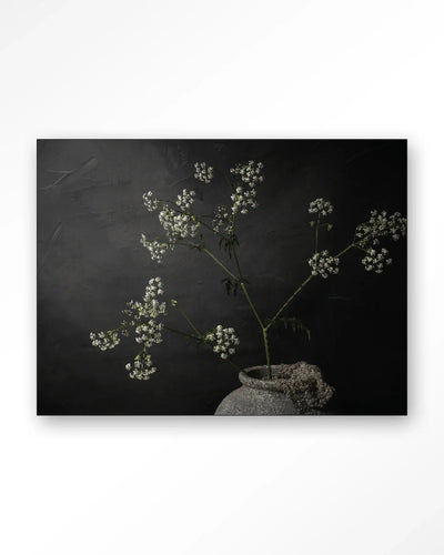 The Light Of Cow Parsley - Moderne Wanddecoratie | Artprint, Glass Art & Wandkleed by Urban Cotton