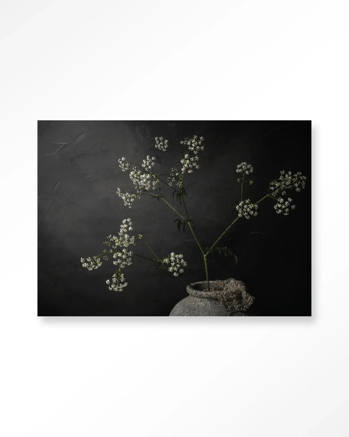 The Light Of Cow Parsley - Moderne Wanddecoratie | Artprint, Glass Art & Wandkleed by Urban Cotton