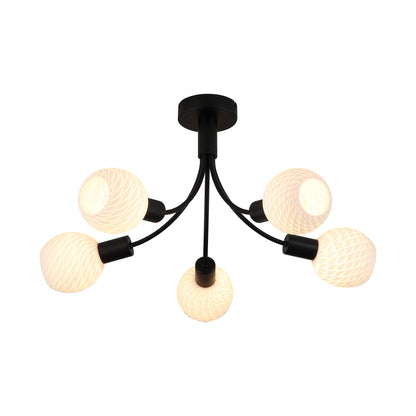 Nova 5Lt Ceiling Lamp, Black Metal with Frosted Glass Shade