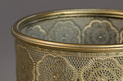 Plant Stand Botanique M