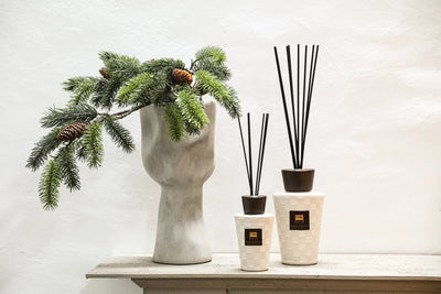 PTMD Exclusive Clean Linen Geurstokjes 1l by PTMD