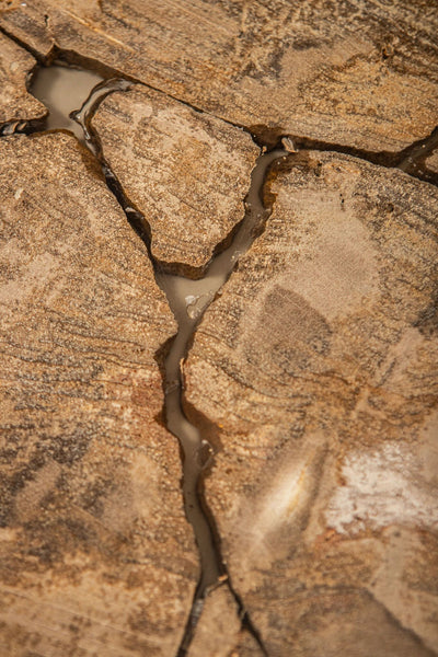 Salontafel Taly Natural versteend hout en fiberglass L by PTMD