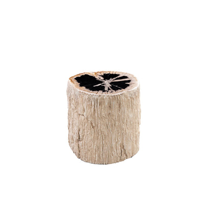 Kruk Taly naturel versteend hout en glasvezel by PTMD