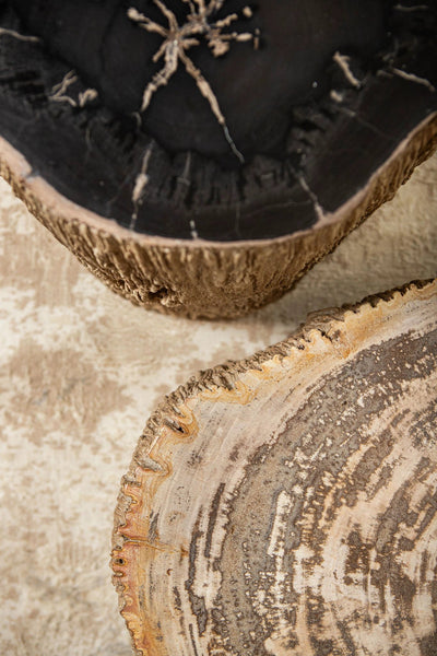 Salontafel Taly Naturel versteend hout en glasvezel S by PTMD