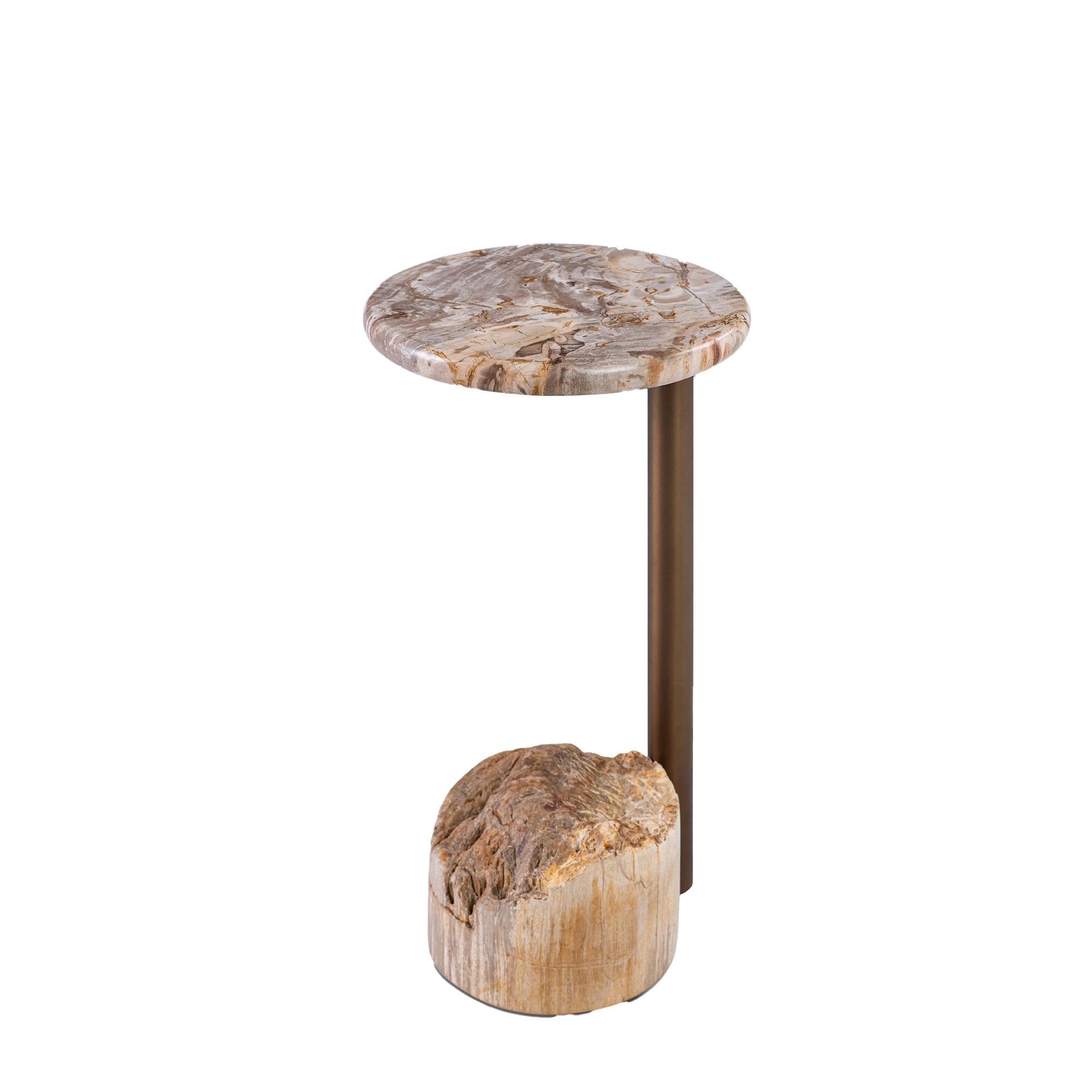 Ataja Natural Petrified Wood Side Table with Brass Leg by PTMD