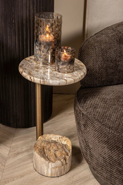 Ataja Natural Petrified Wood Side Table with Brass Leg by PTMD