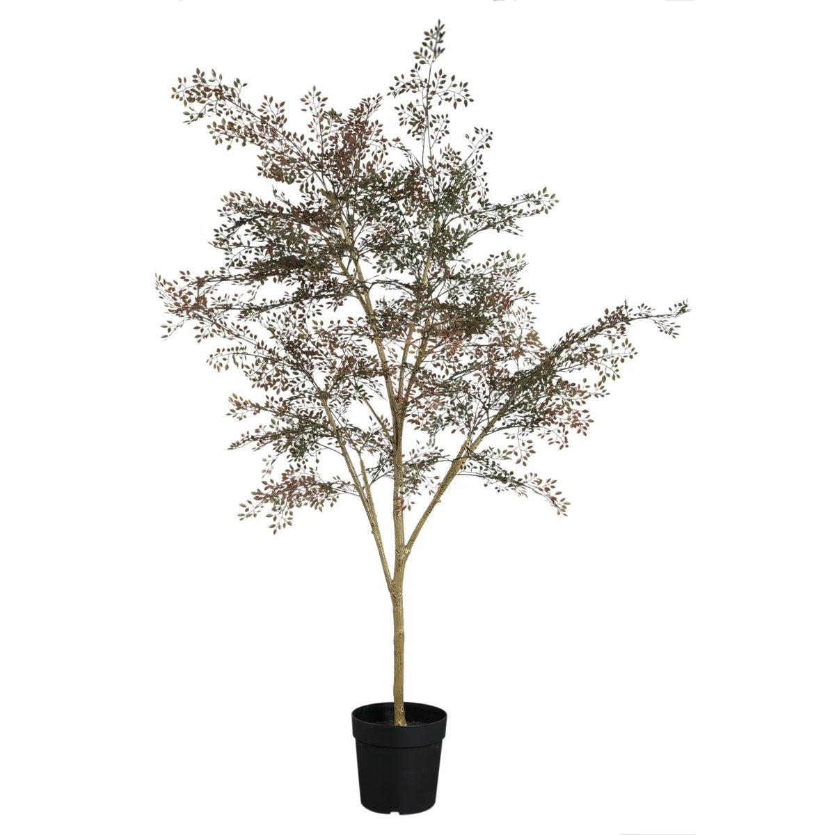 Groene PTMD-boom met kleine bladeren in pot, decoratief en levendig, perfect voor interieur of kantoor.