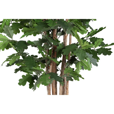 Groene eikenboom in pot van PTMD met volle bladeren, decoratief binnen- of buitengebruik, natuurlijke groene plant.