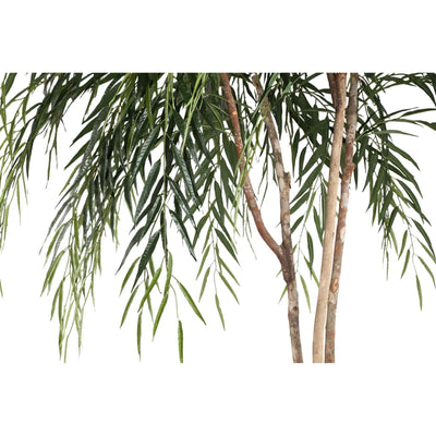 Groene Ficus Alii in zwarte pot van PTMD, levendige plant met decoratieve zwarte pot op een witte achtergrond