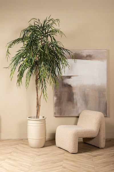 Groene Ficus Alii in zwarte pot, PTMD, levend kamerplant met glanzende groene bladeren op afbeelding 734171-2
