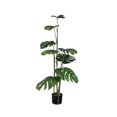 Groene Monstera-plant van PTMD met grote bladeren, in een pot, op een natuurlijke achtergrond.