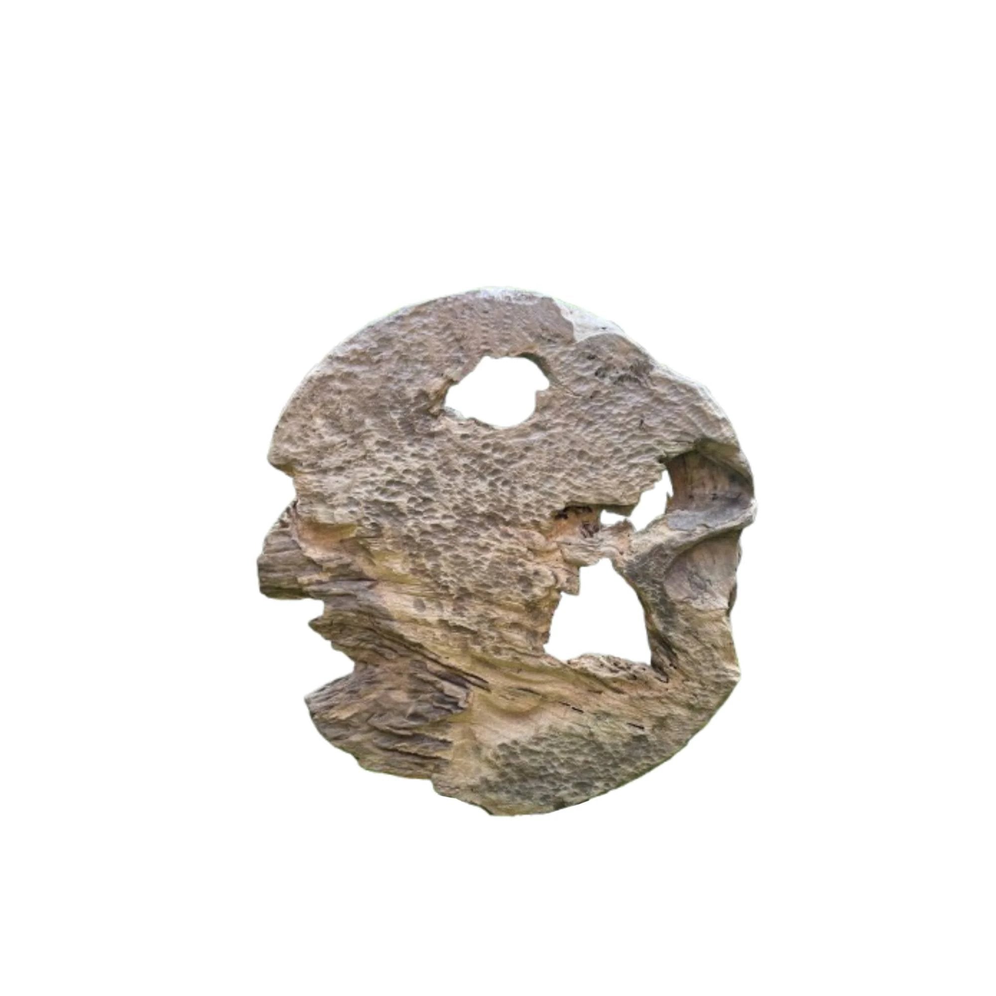 Roch natuurlijk teakhouten wandpaneel met ronde gaten S by PTMD