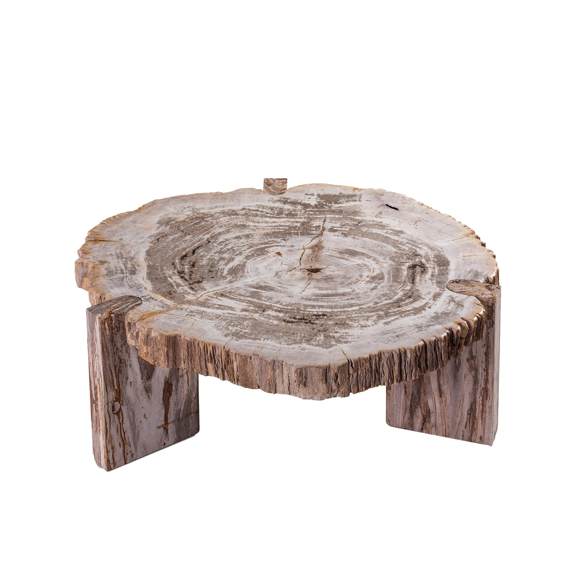 Salontafel Kayo van naturel versteend hout by PTMD