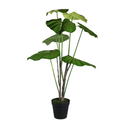 Groene Philodendron in zwarte pot, PTMD, binnenplant met grote groene bladeren, decoratief en modern voor in huis.