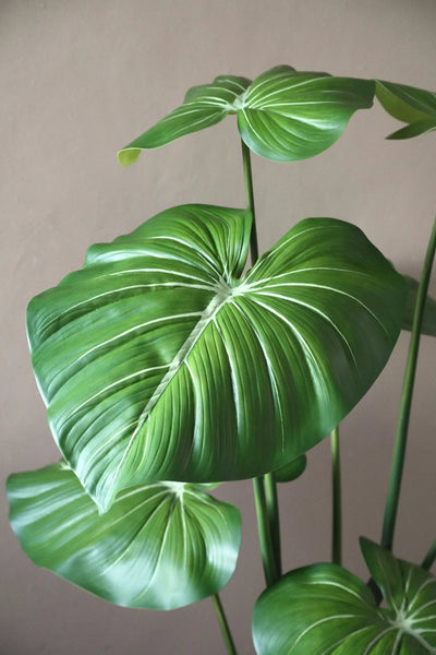 Groene Philodendron plant in zwarte pot, PTMD, met grote bladeren en decoratieve uitstraling in interieurdecoratie.