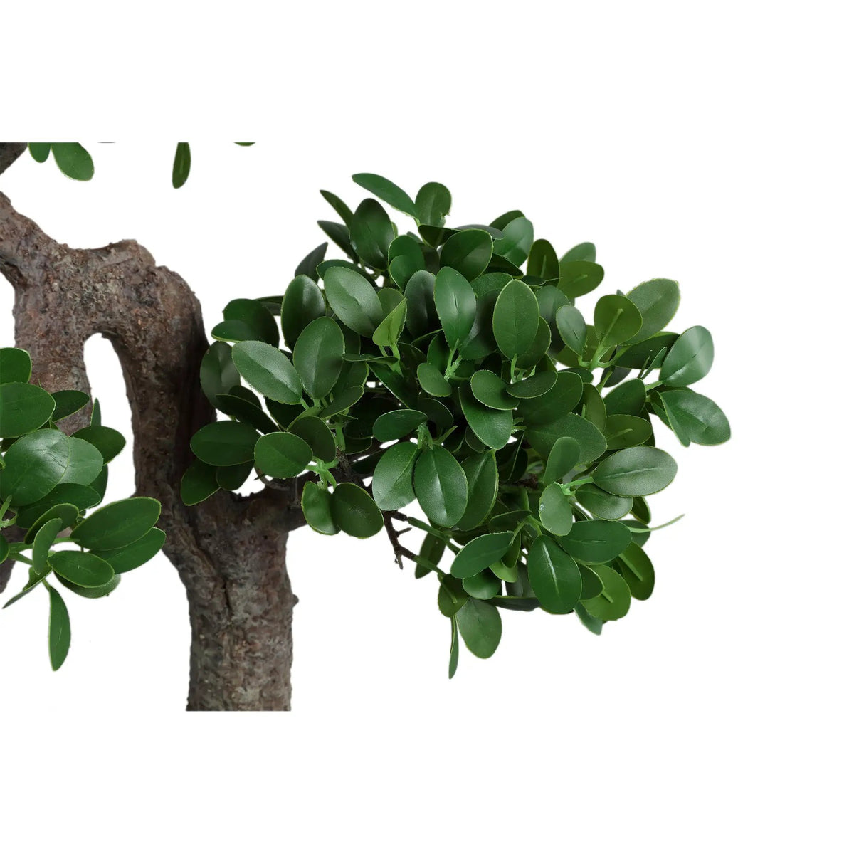 Groene banyanboom in zwarte pot van PTMD, decoratieve kamerplant met volle bladeren en natuurlijke uitstraling.