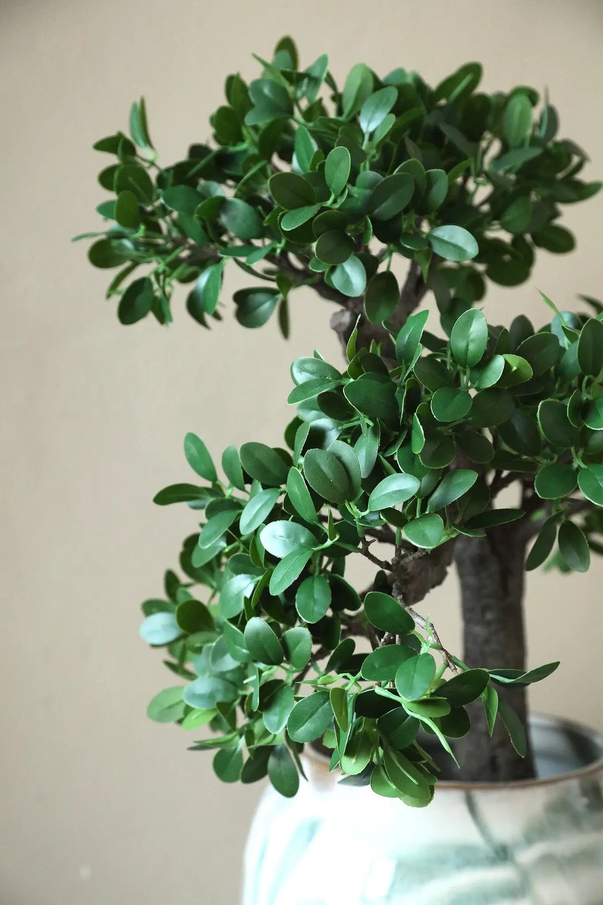 Groene banyanboom in zwarte pot, PTMD, met volle bladeren en decoratieve uitstraling, perfect voor interieurdecoratie.