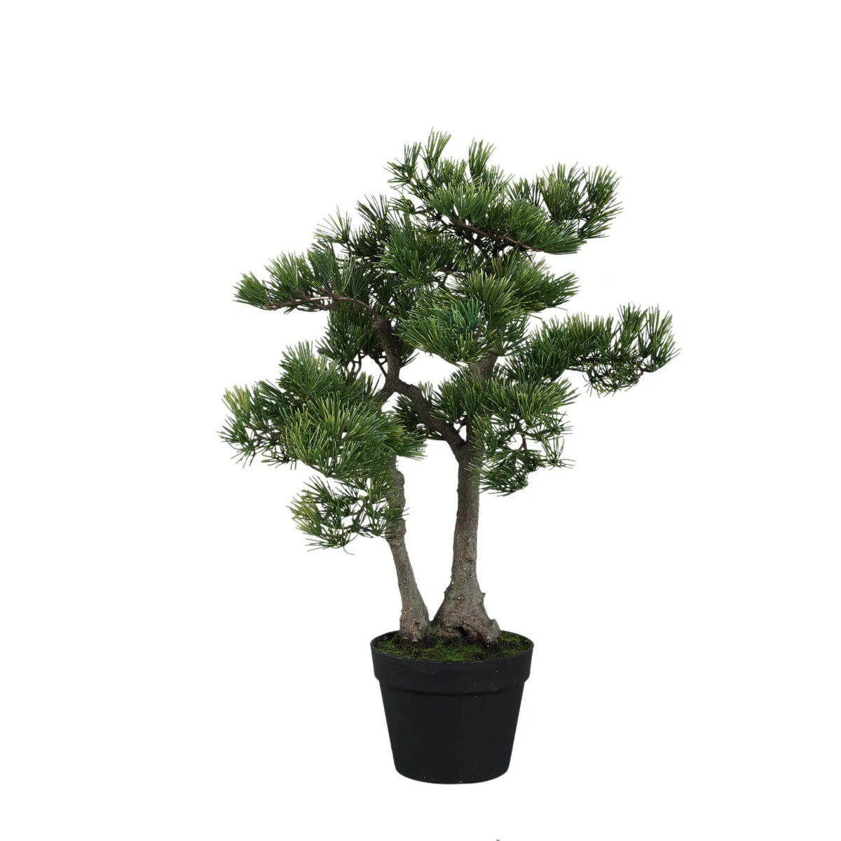 Groene dennenboom in zwarte pot van PTMD, decoratief boompje met natuurlijke uitstraling voor binnen of buiten.