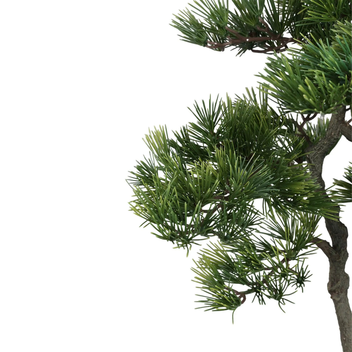 Groene dennenboom in zwarte pot, PTMD, decoratief kamerplant met volle takken en natuurlijke uitstraling
