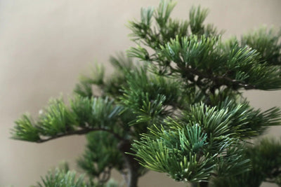 Groene dennenboom in zwarte pot, PTMD, decoratief kunstplant voor binnen of buiten, gedetailleerde groene naalden en stevige pot.