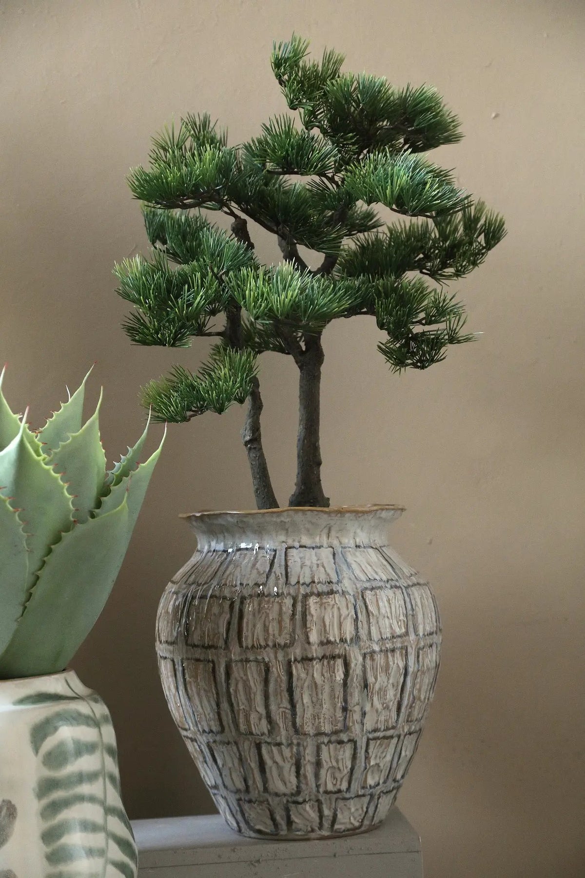 Groene dennenboom in zwarte pot van PTMD, decoratief groen plant voor binnen of buiten.