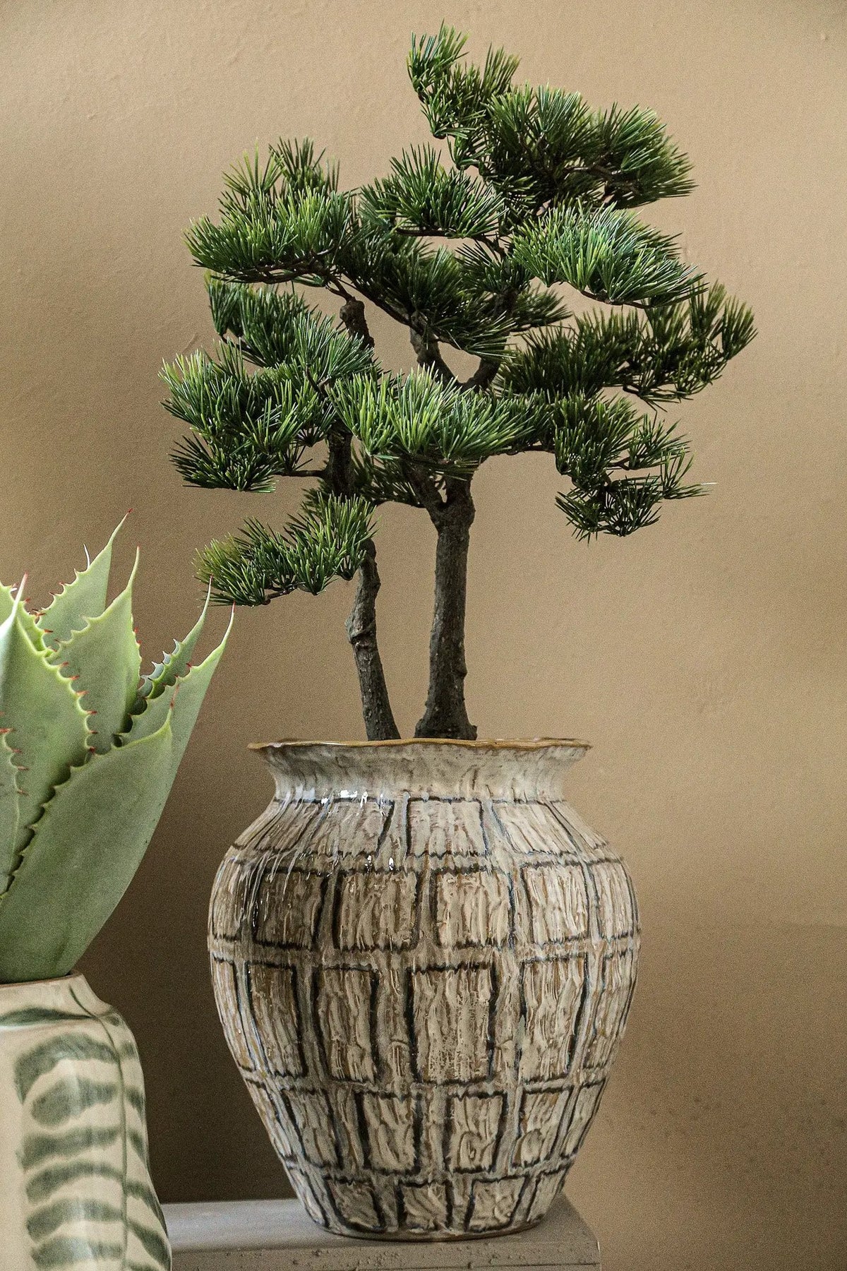 Groene dennenboom in zwarte pot van PTMD, decoratief kamerplant met volle takken en levendige uitstraling.