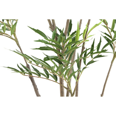 Groene Mahonia fortunei-boom in zwarte pot, grote maat L, PTMD, decoratieve tuinplant met donkergroene bladeren