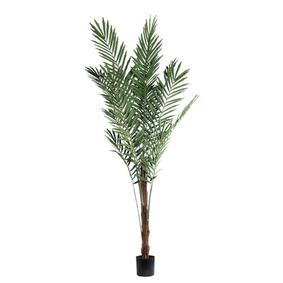 Grote groene palmboom in zwarte pot, PTMD, levendige kamerplant met volle bladeren en decoratieve uitstraling