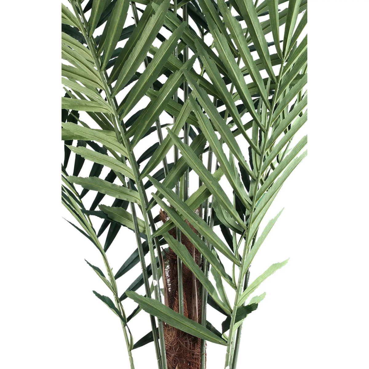 Grote groene palmboom in zwarte pot, PTMD, decoratief binnen- of buitenplant met weelderig blad