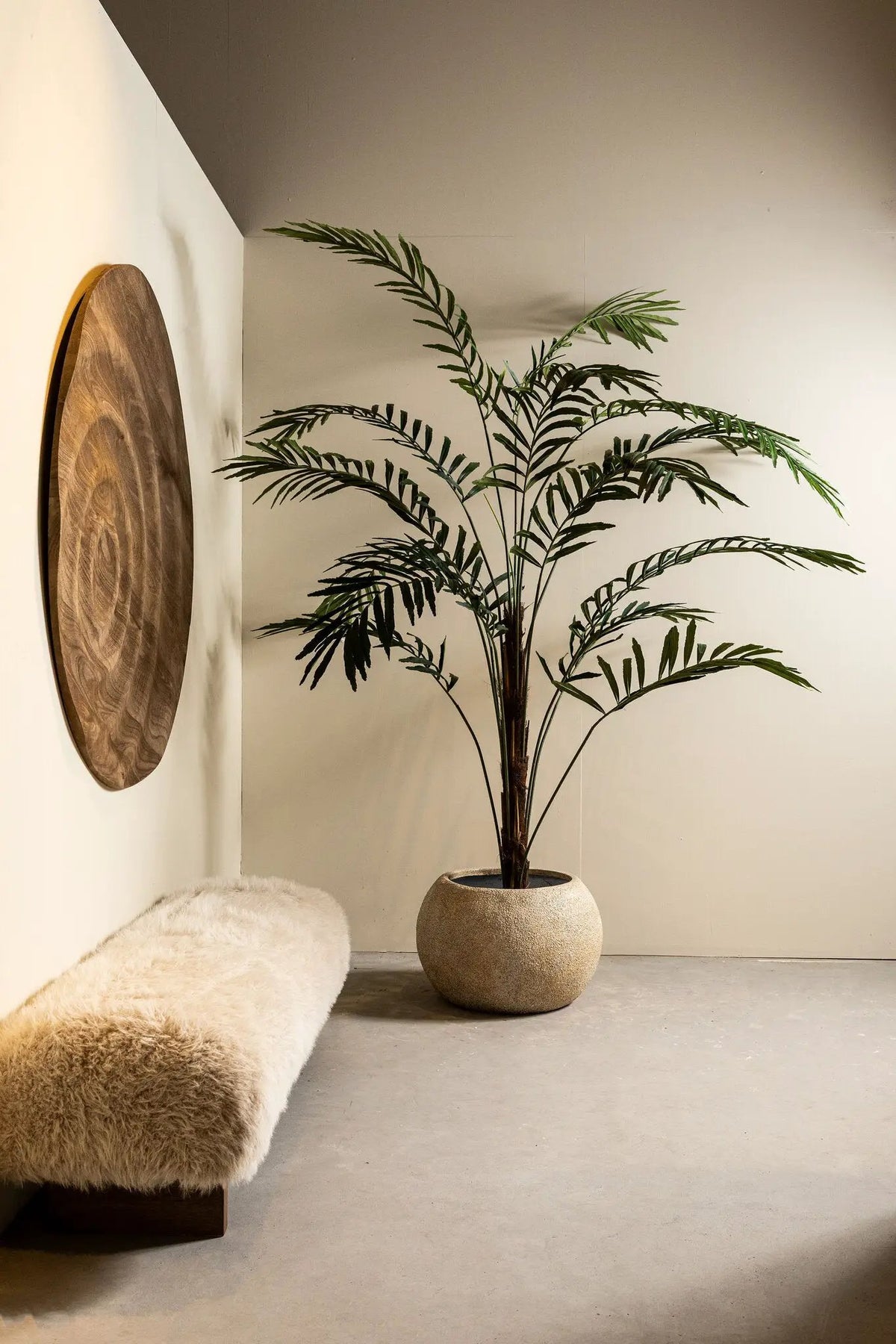 Grote groene palmboom in zwarte pot, PTMD, decoratief plantstuk voor binnen of buiten.