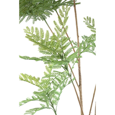 Groene varensplant in grote pot, PTMD, natuurlijke decoratie voor binnen of buiten, levendige en frisse uitstraling