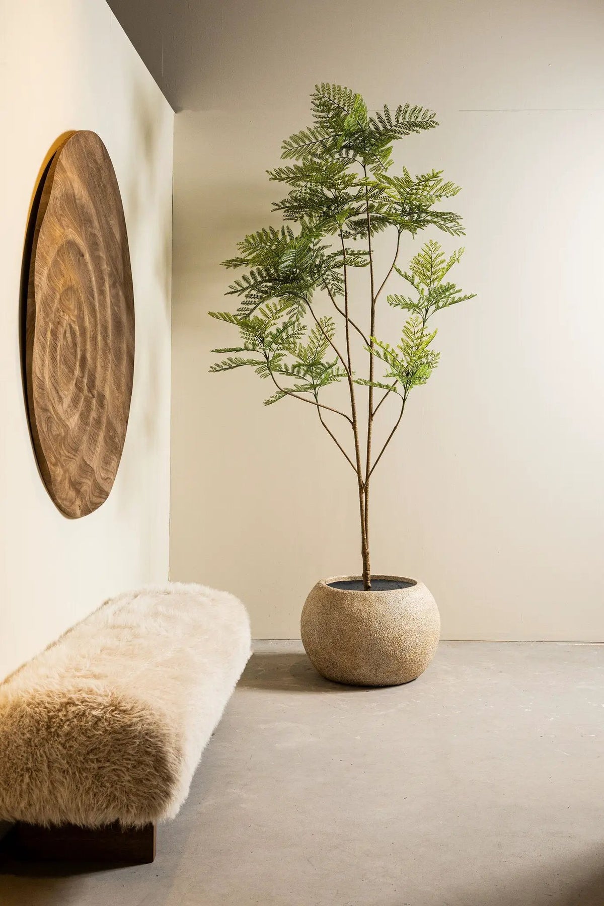 Groene varensplant in grote pot van PTMD, decoratieve kamerplant met weelderig blad voor binnengebruik
