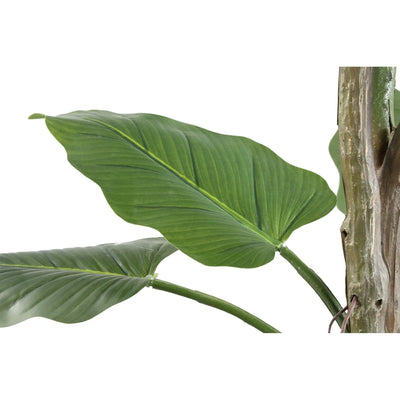 Grote groene Philodendron in zwarte pot van PTMD, levendig blad en volle uitstraling, ideaal voor binnenruimte.