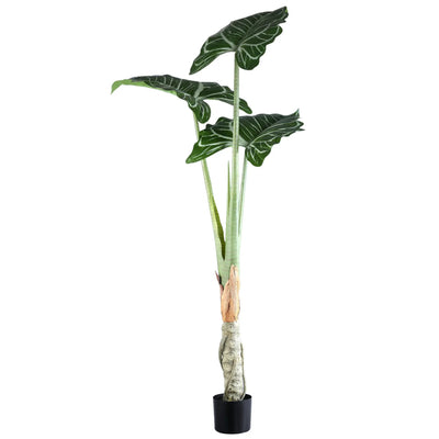 Groene Alocasia-plant in zwarte pot, PTMD, met grote groene bladeren, decoratief binnenplant voor in huis of kantoor