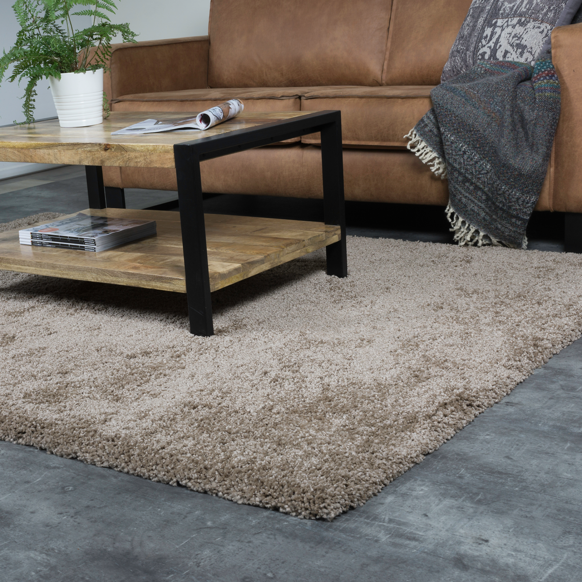 Vloerkleed Milano Bruin 300 x 400 cm