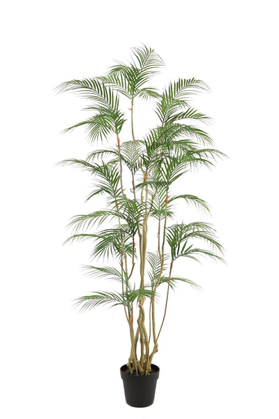 Kunstplant Tropische Areca-palm 180cm by NeverLeafs