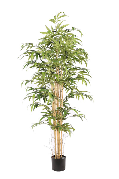 Kunstplant Bamboe Japanse 180cm by NeverLeafs