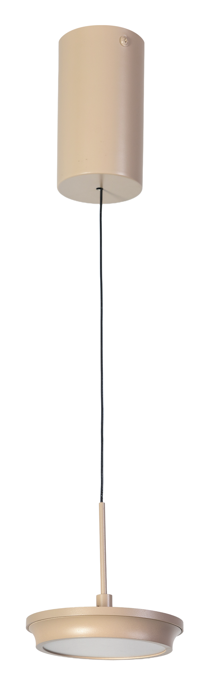 Hanglamp Desiree 1LT led