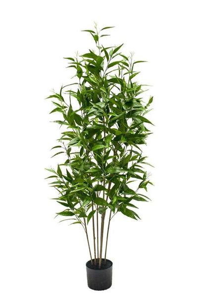 Kunstplant Eucalyptus Deluxe 160cm by NeverLeafs
